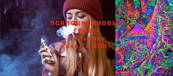 не бодяженный Михайлов