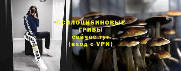 шишки Михайловка