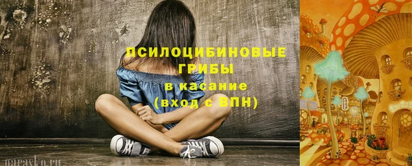 шишки Михайловка
