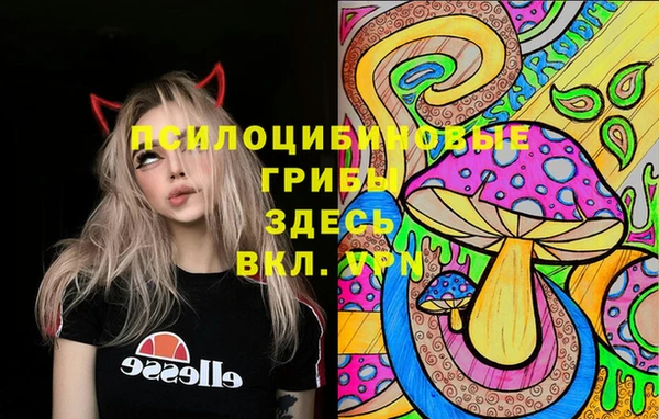 ешки Михайловск