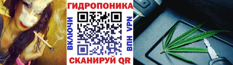 наркотики  Ялуторовск  Каннабис конопля 